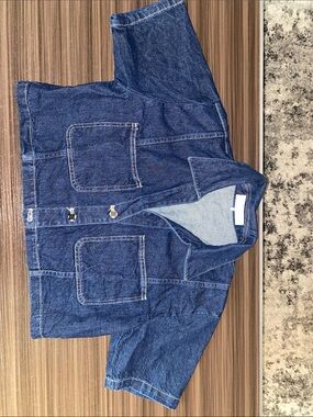 Zara Two-Tone Blue Denim Top